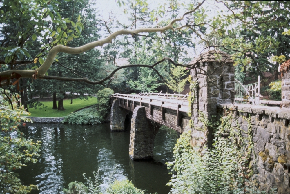 Bridge over lake in Oregon